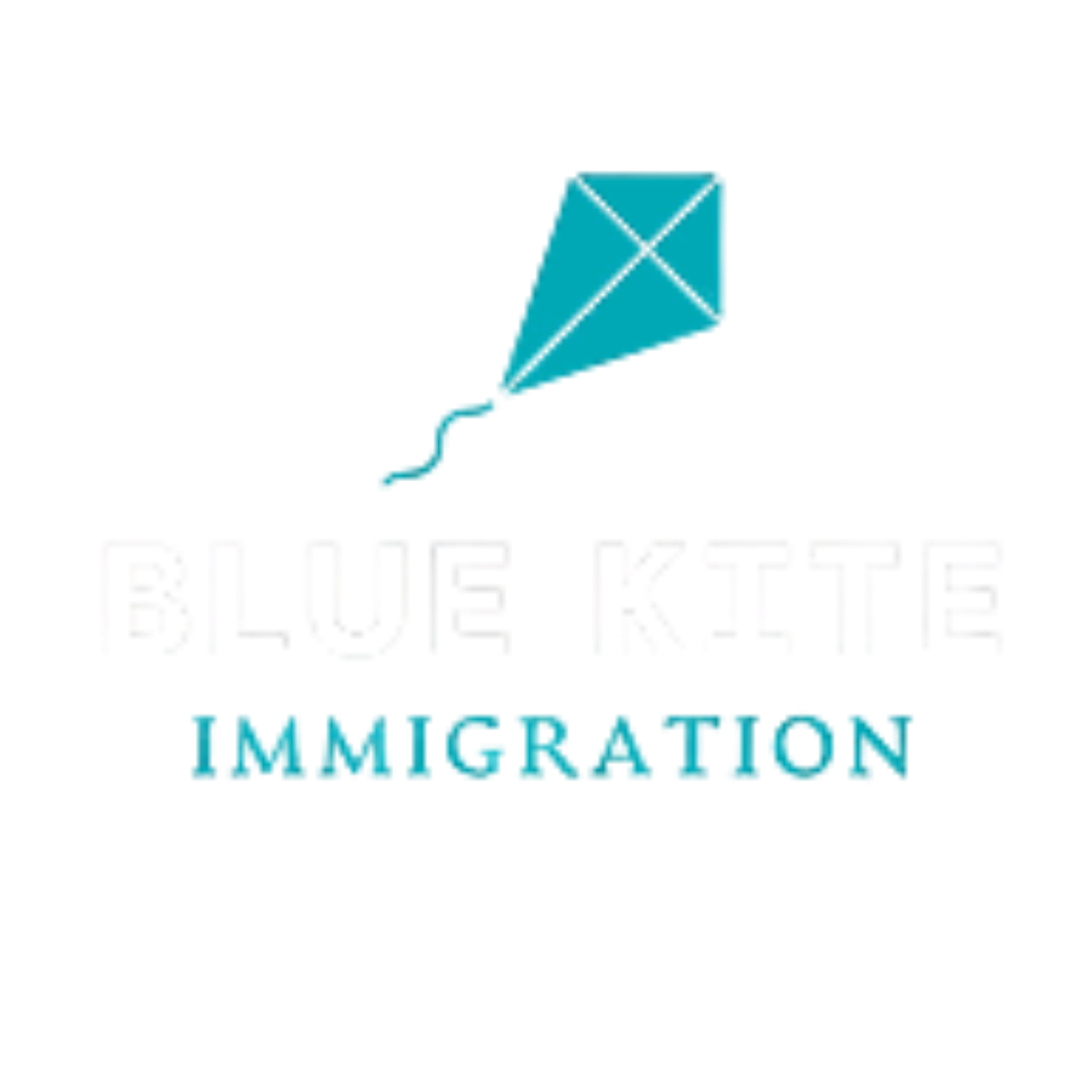 Blue Kite Visa